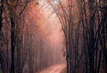 多多28官网：唉！打首钢6分+4失误，打辽宁9分+4失误，卢伟该让他卷铺盖走人了.