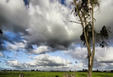 多多28官网：这什么手法？约基奇再次命中后场压哨三分 本赛季之前还有个更远的.