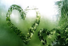 NBA：杜兰特21分东契奇33+11 太阳96-107湖人.