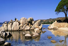 多多28官网：花游冠军肖雁宁转型大学老师：不能一直回忆过去，重要的是如何走未来的路｜.